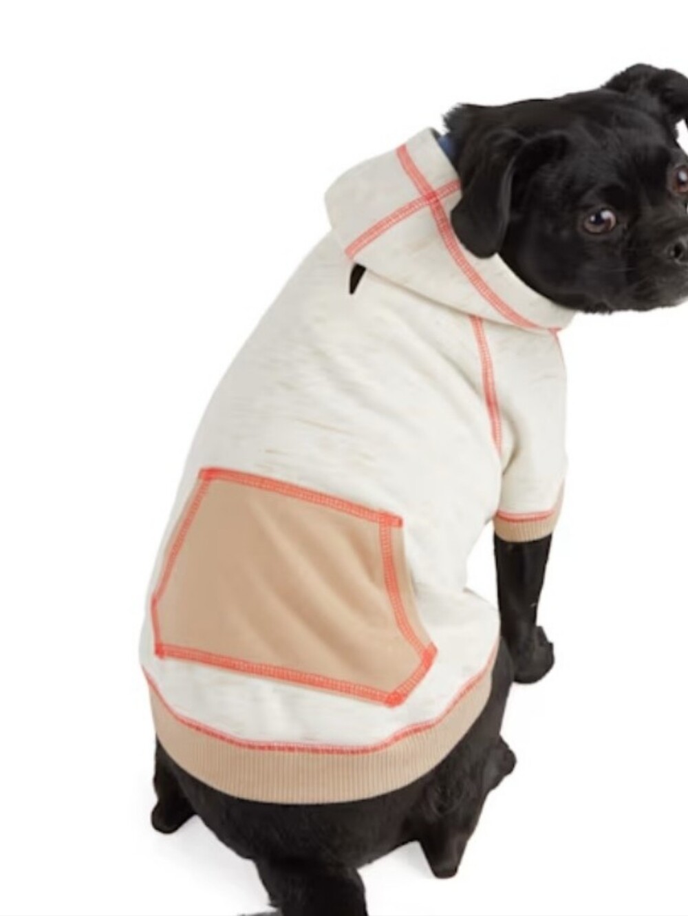 YOULY Heathered Hoodie for Dogs, Size M, Tan